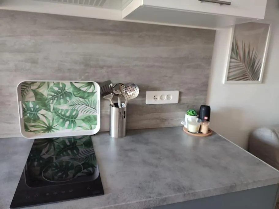 Apartment Studio 30 M 2 Avec Terrasse Et Coin Detente Cagnes-sur-Mer